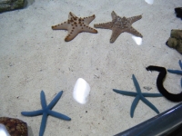 2010沖縄パ－ト2 023.jpg