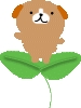 葉っぱの上犬.gif