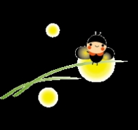 蛍~.gif