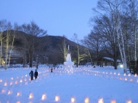 雪まつり　日光.jpg