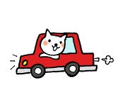 猫と車.jpg