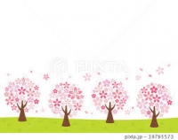さくら.jpg